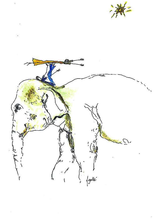 An elephant couple