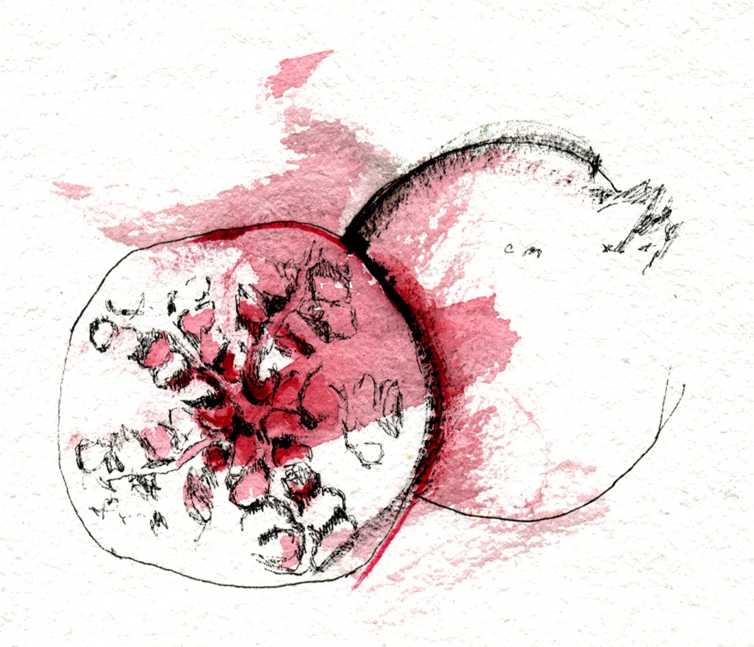 A loose ink and watercolour study of a halved pomegranate